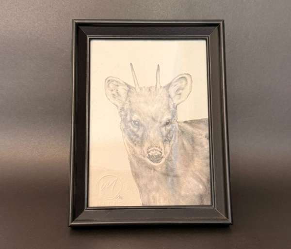 Cuadro pudú tamaño 13x18